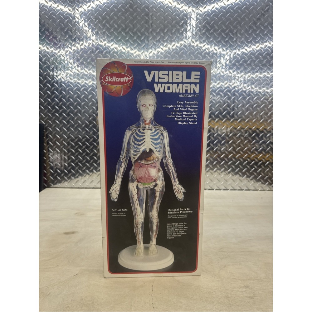 Skilcraft Visible Woman Anatomy  Model Kit Original Box 15" Tall Never Assembled